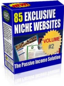 85 Exclusive Niche Websites